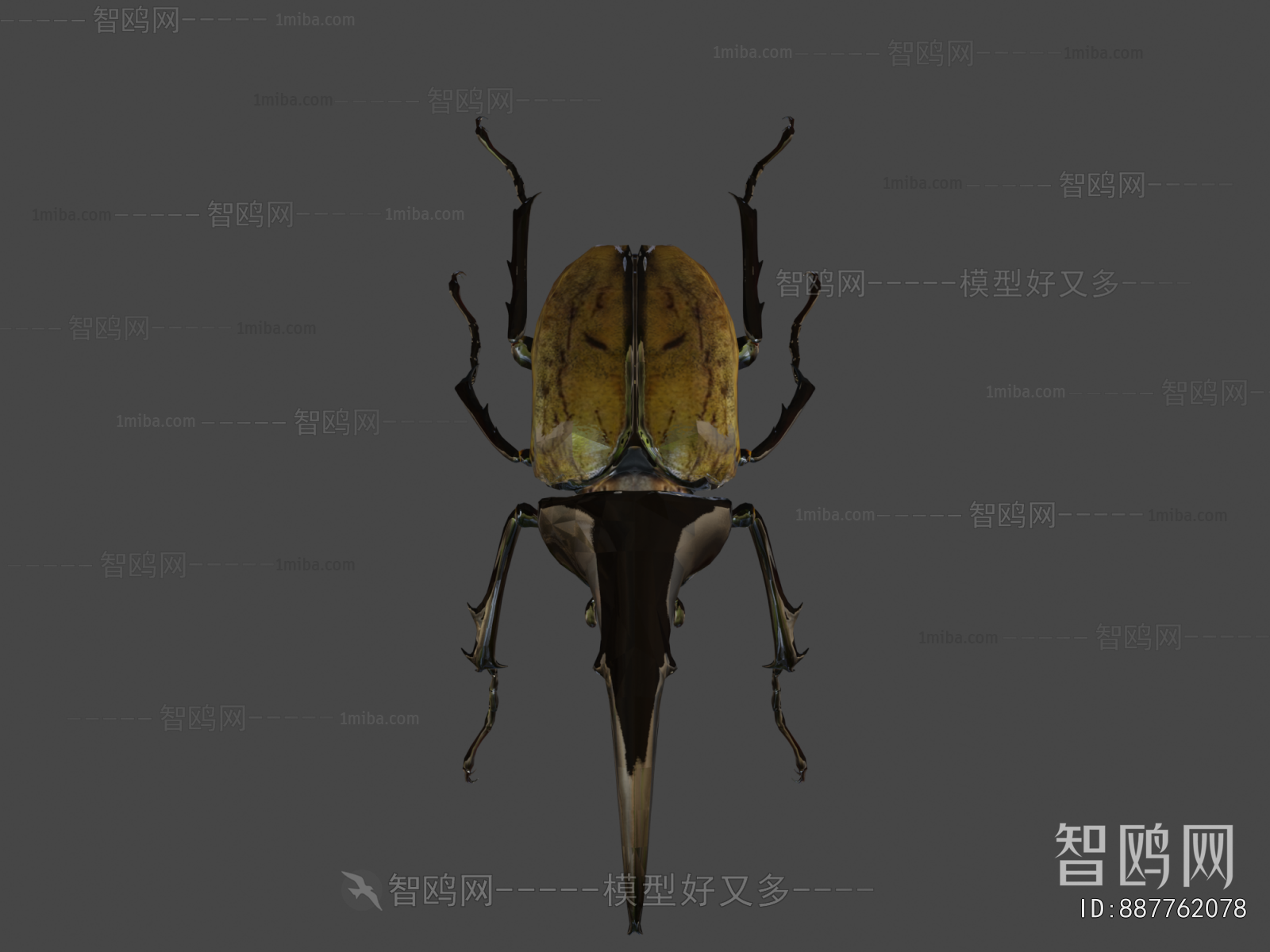 Modern Animal