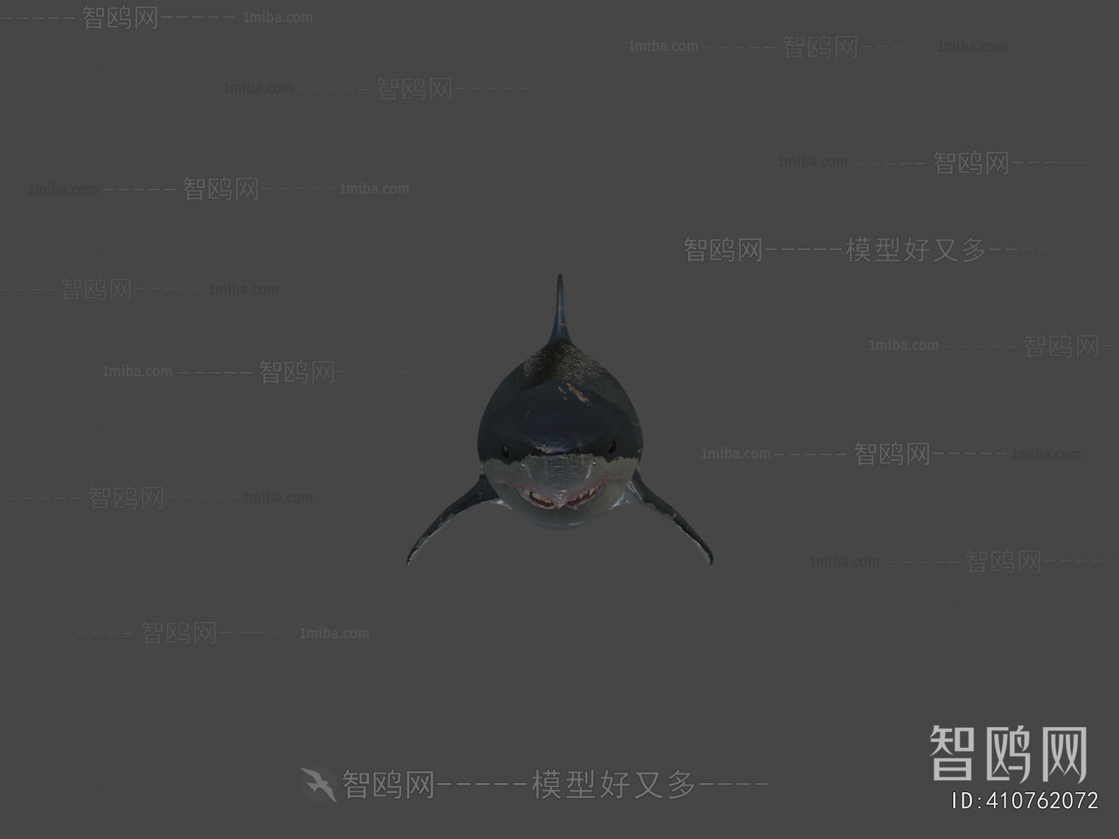 Modern Aquatic Animals