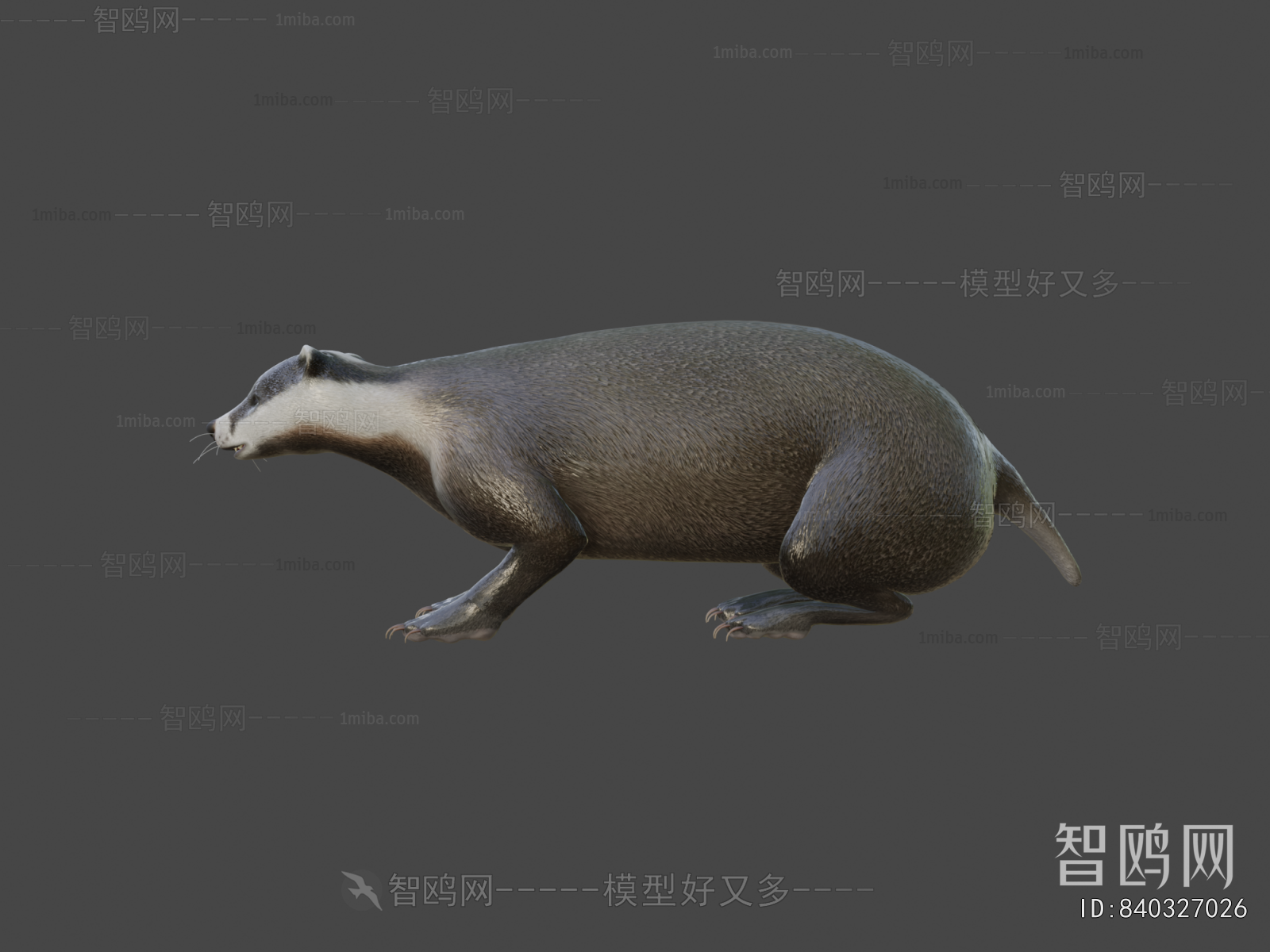Modern Animal