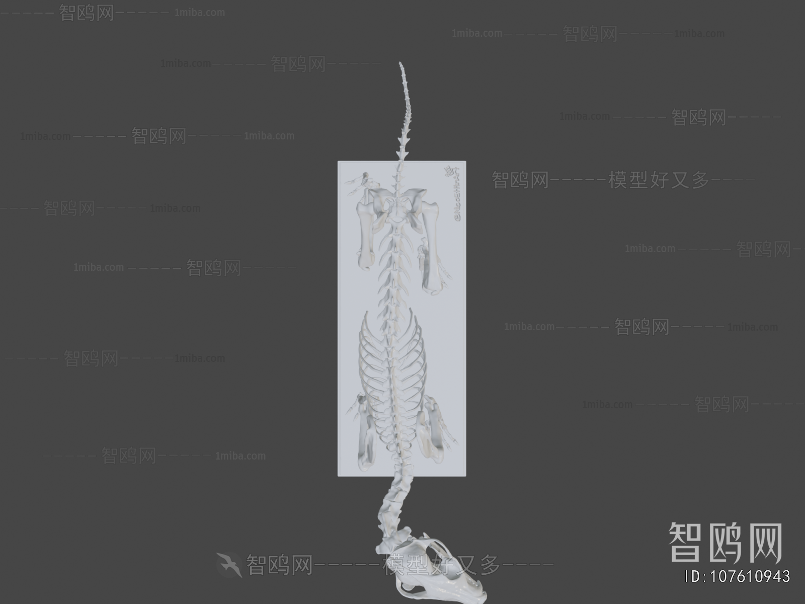 Modern Medical Equipment