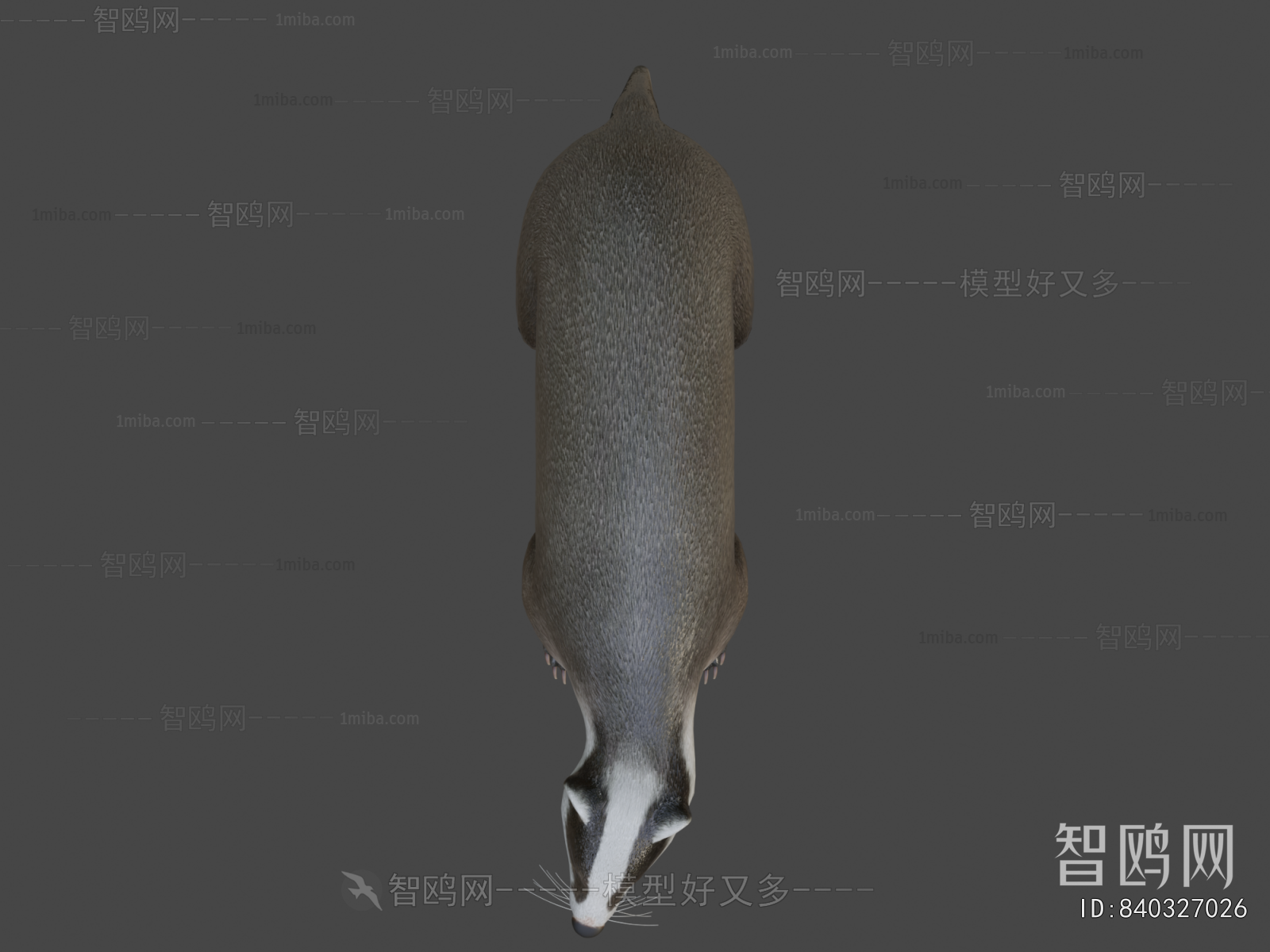 Modern Animal