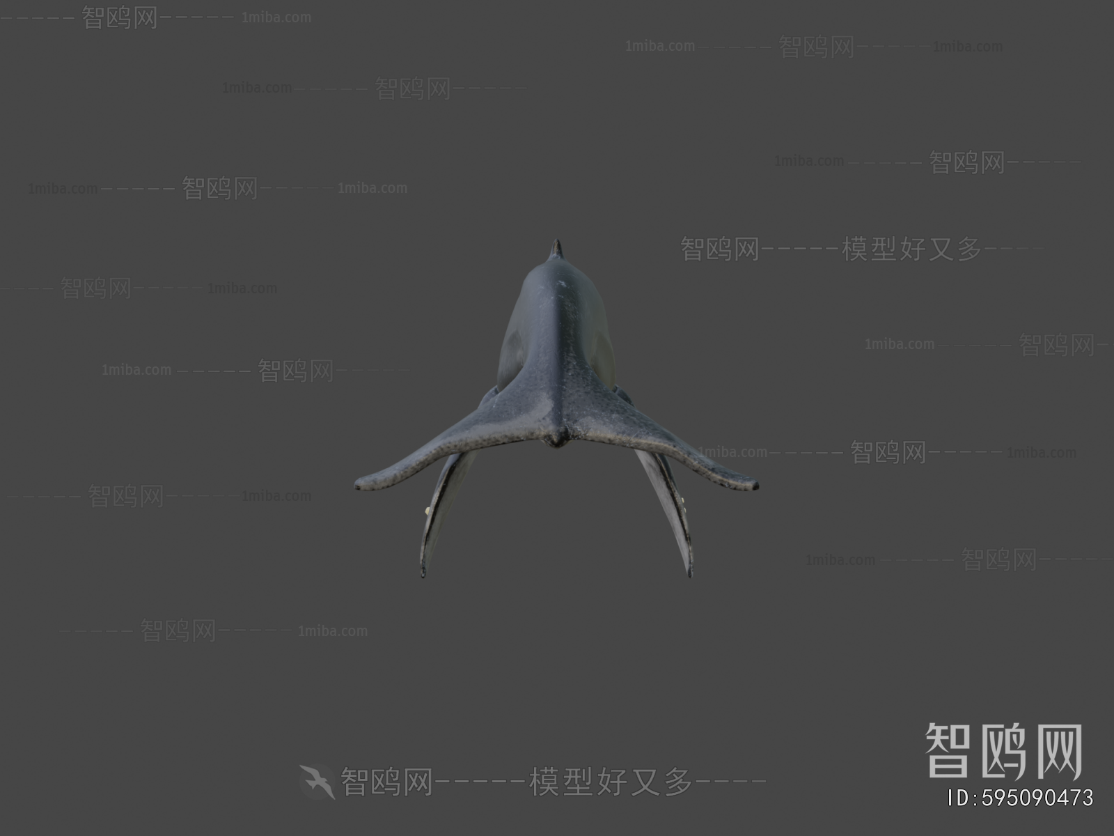 Modern Animal