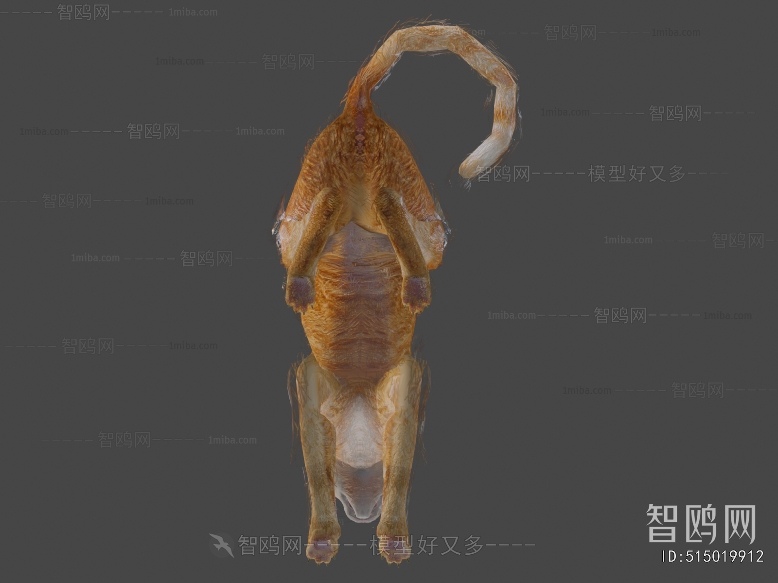Modern Animal Cat