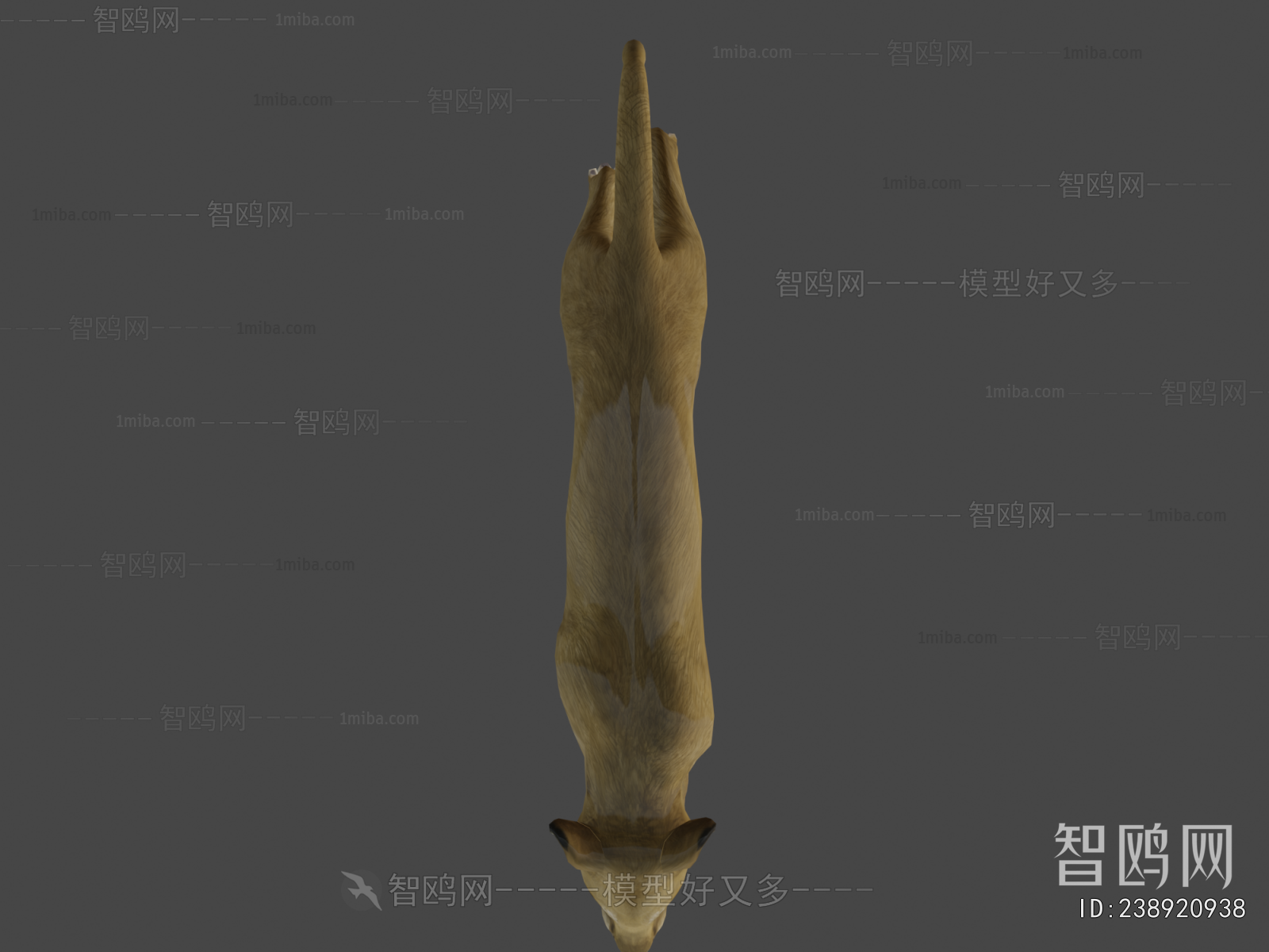 Modern Mammal