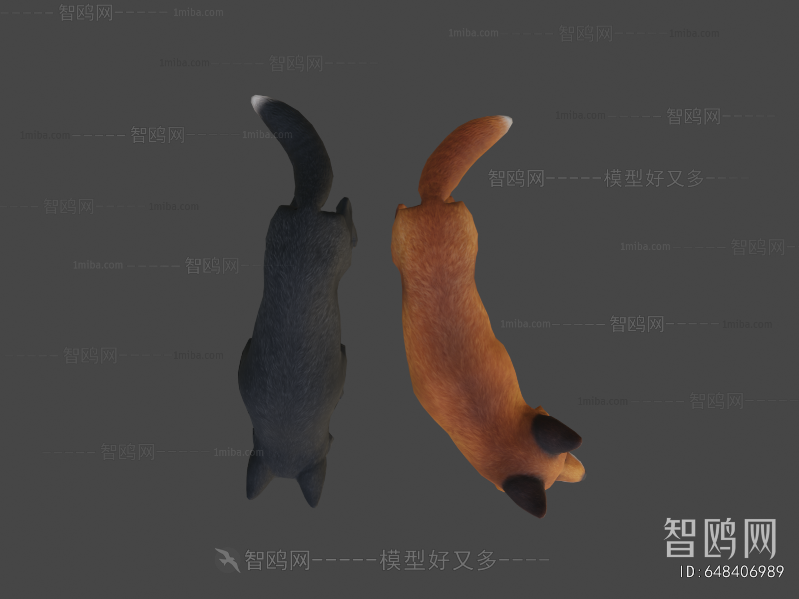 Modern Animal Dog