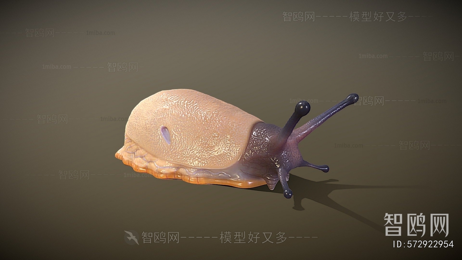 Modern Animal