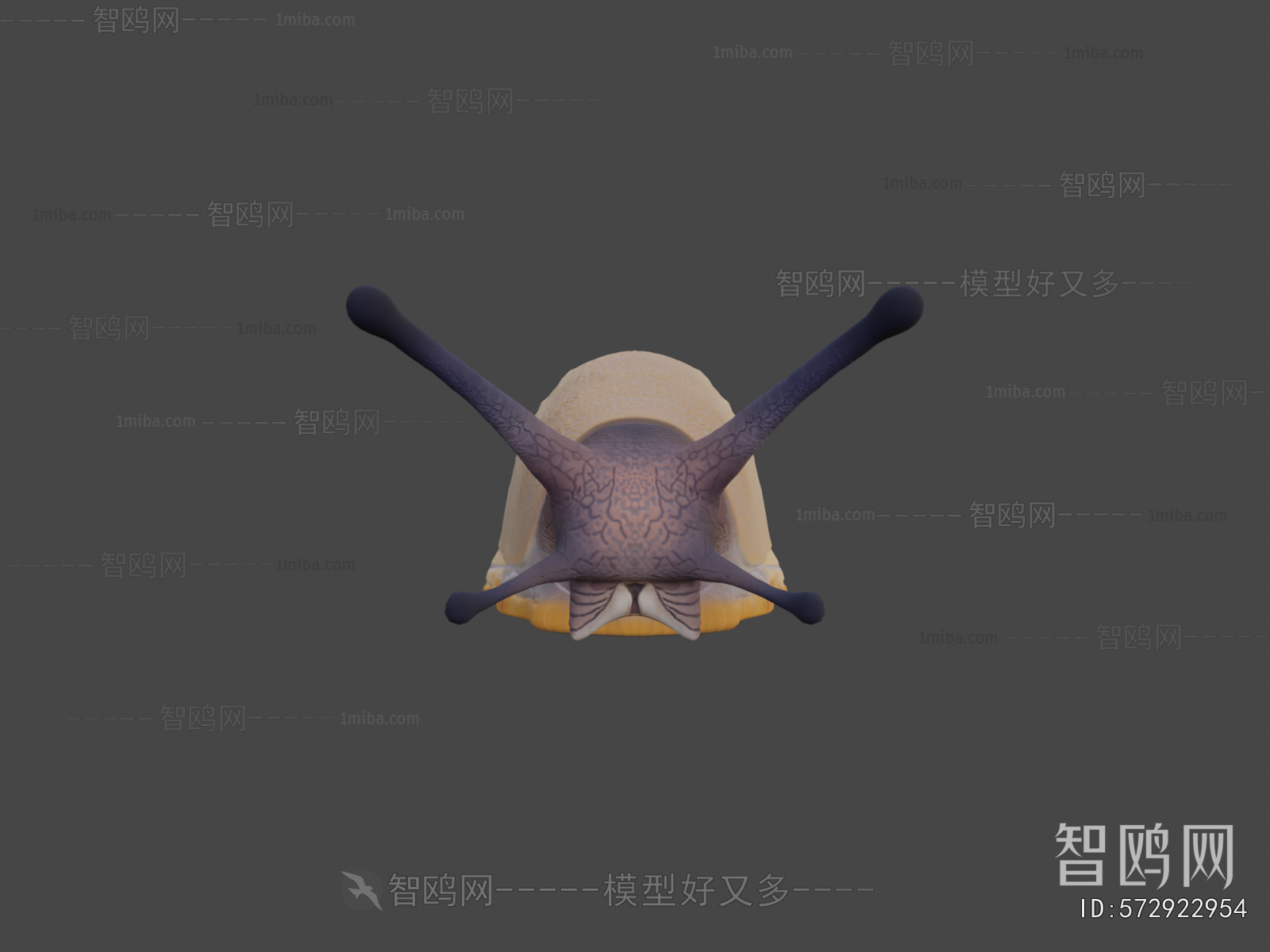 Modern Animal