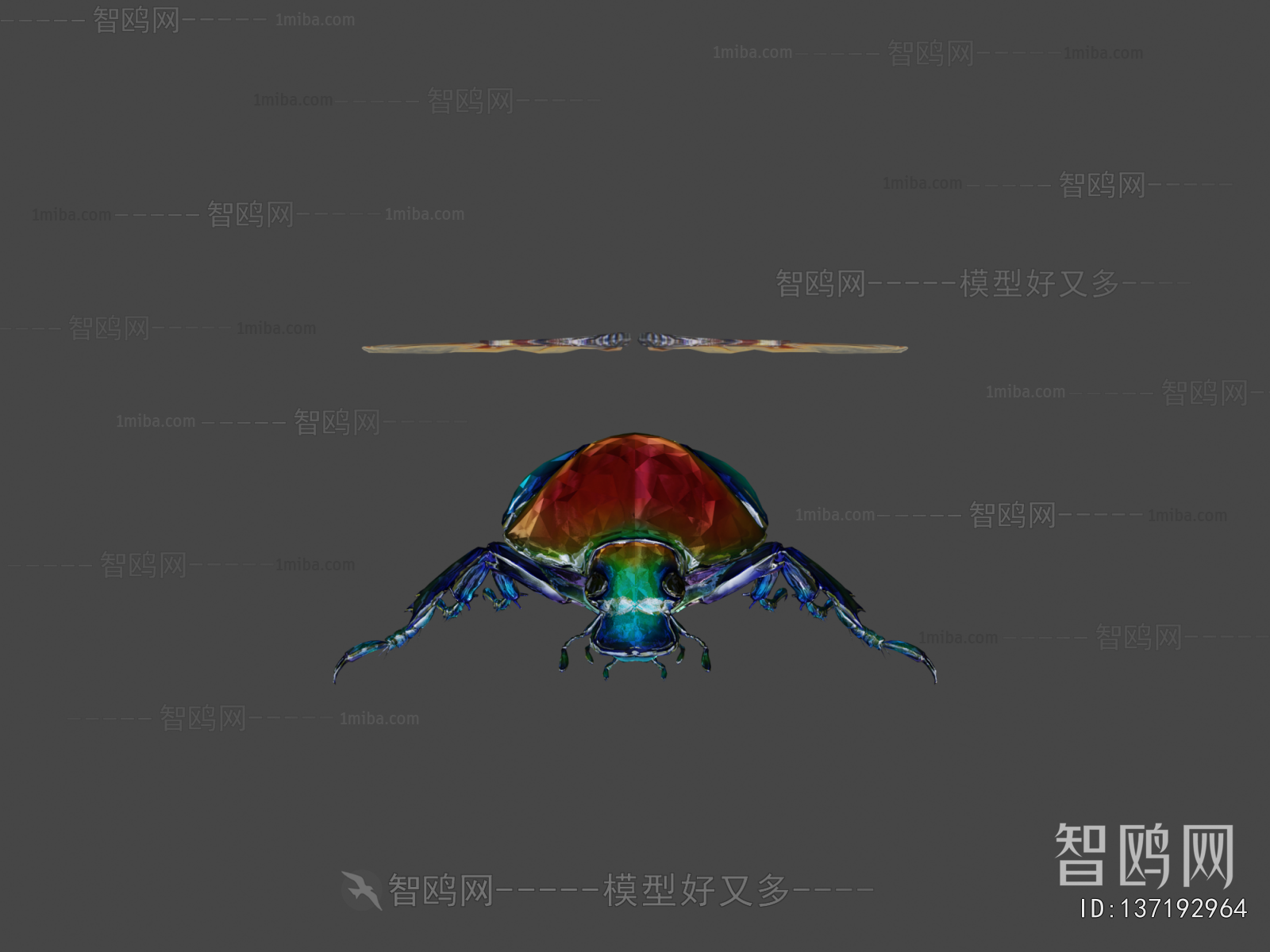 Modern Animal