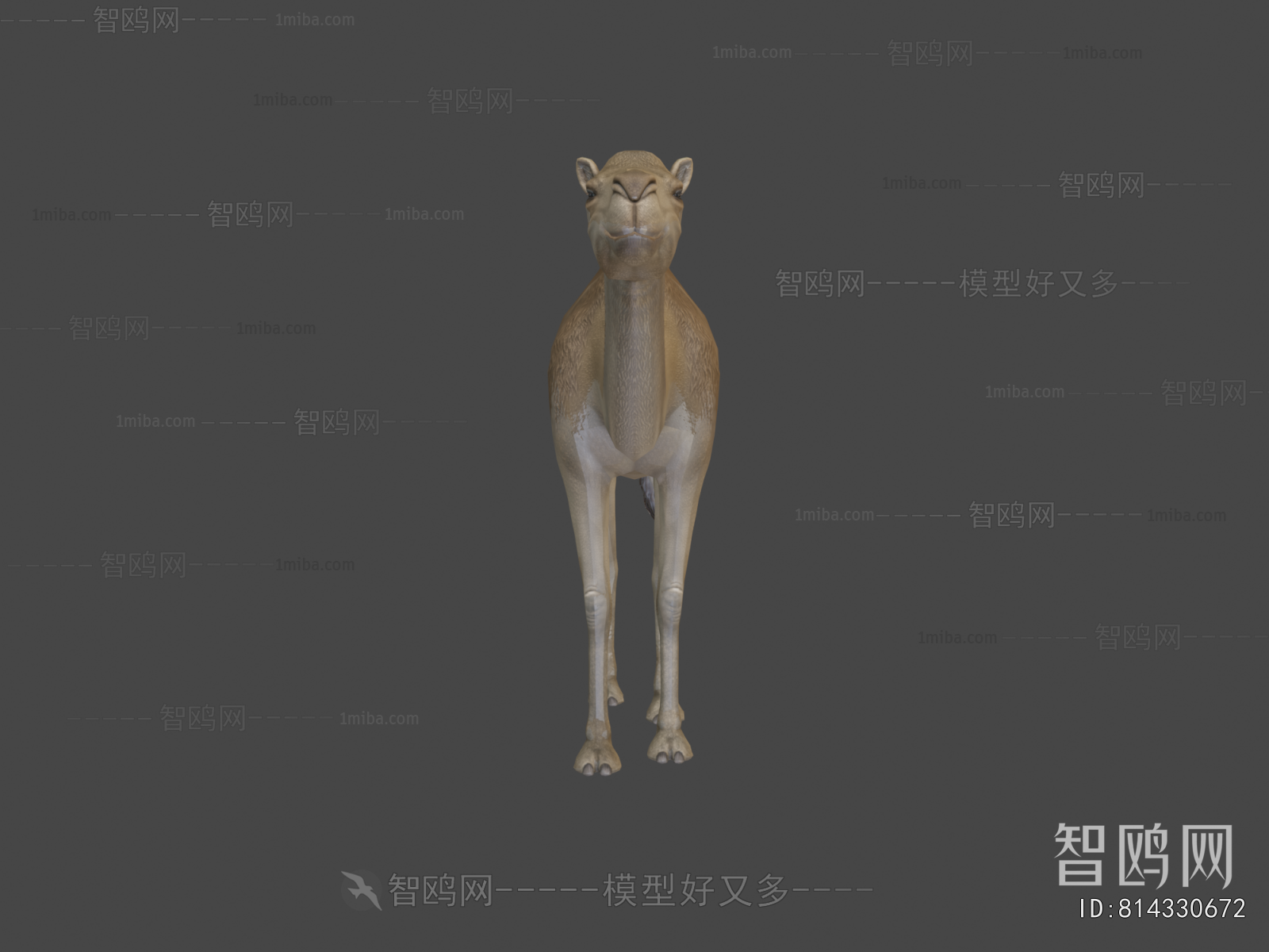 Modern Mammal