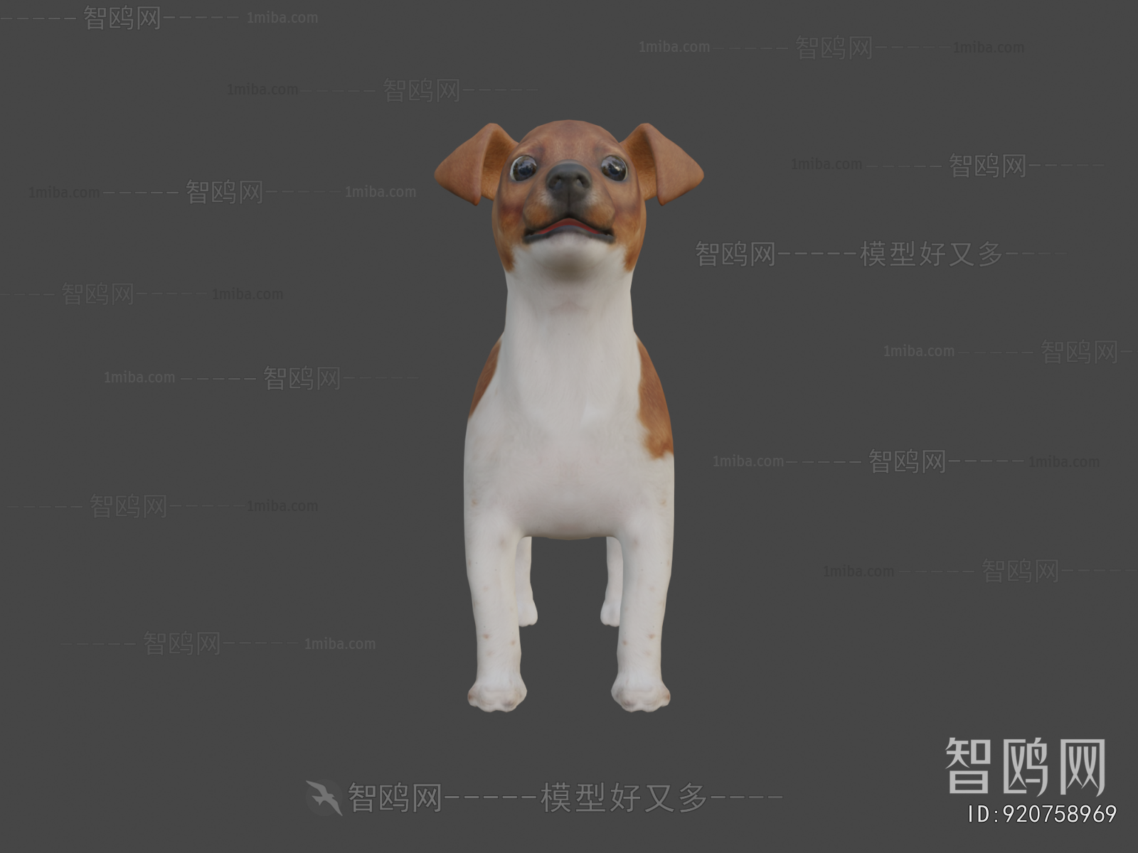 Modern Animal