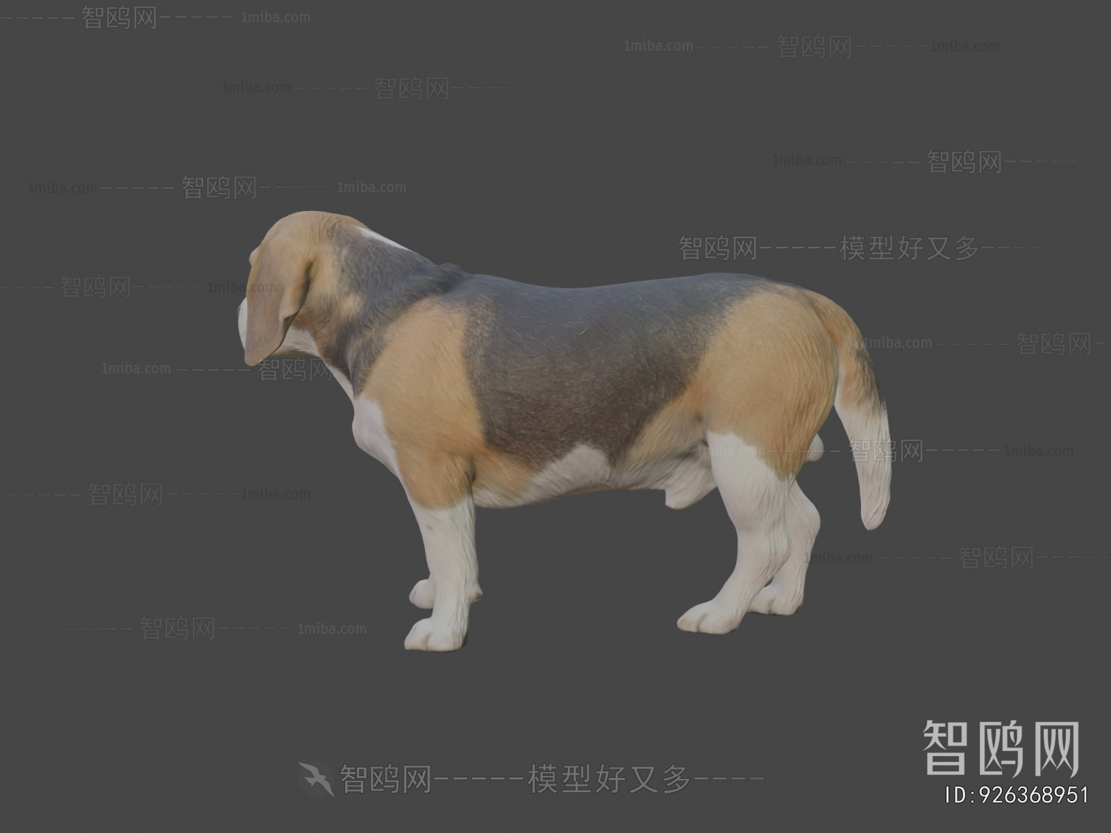 Modern Animal Dog