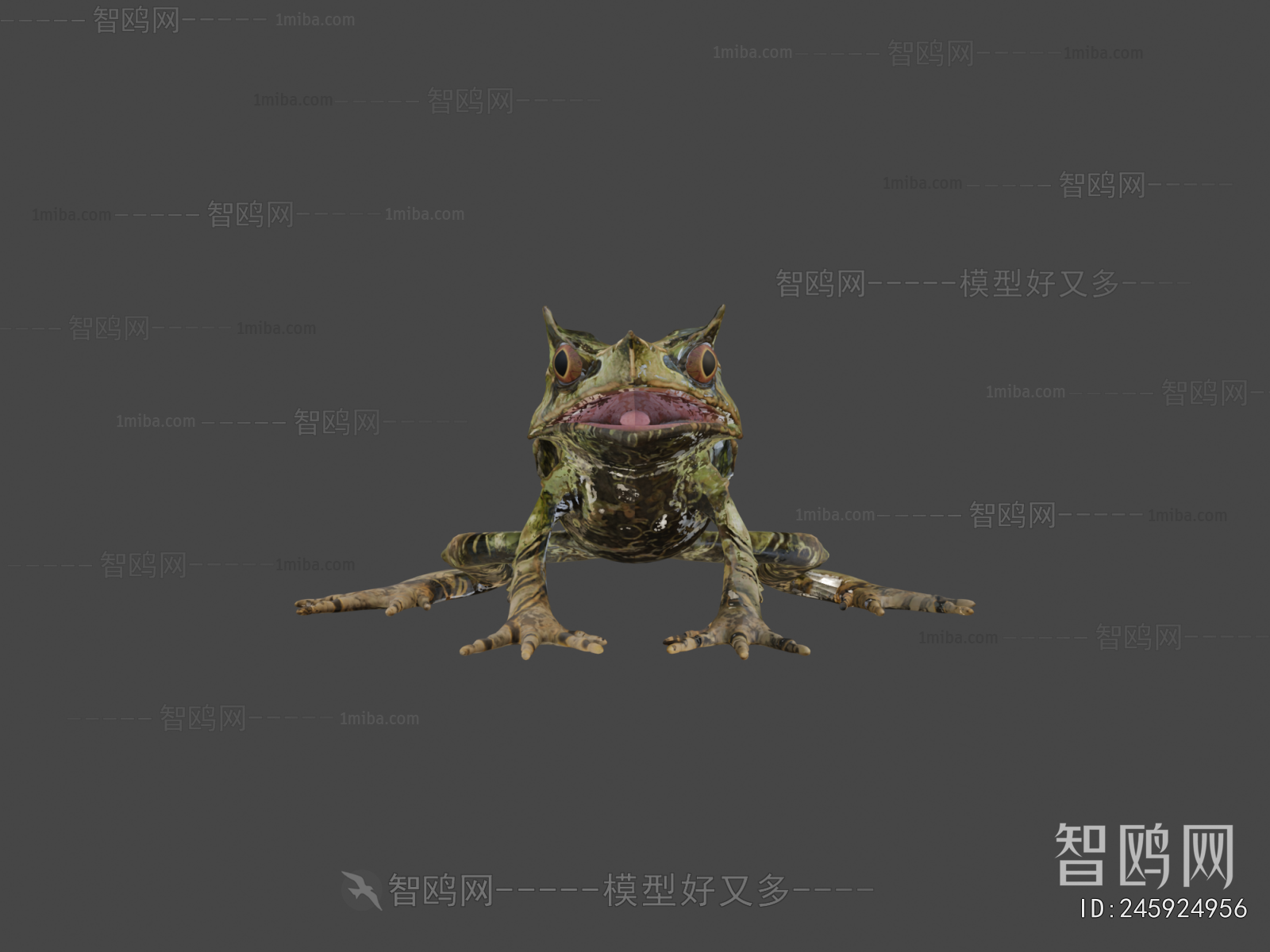 Modern Animal