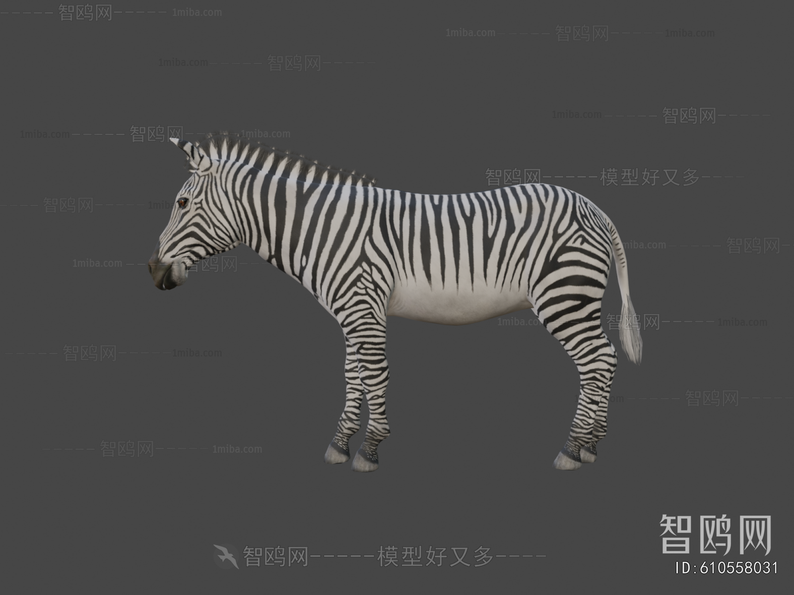 Modern Mammal