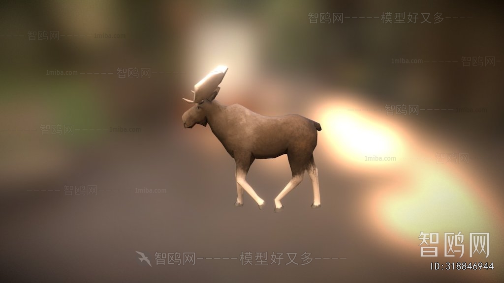 Modern Animal