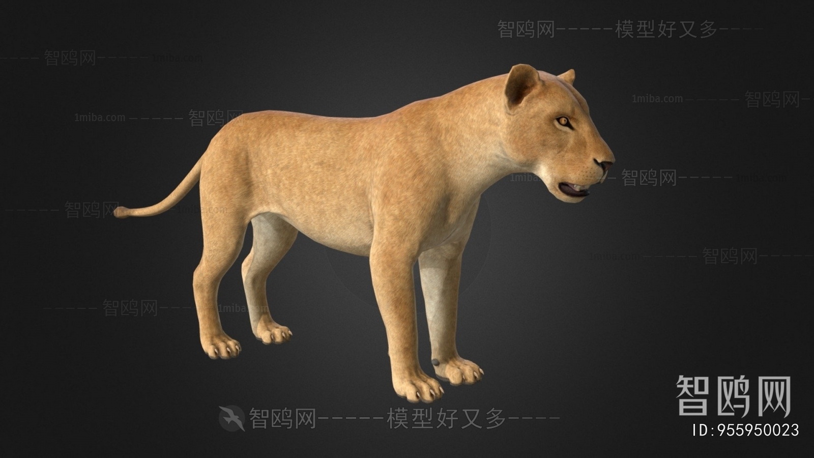 Modern Animal