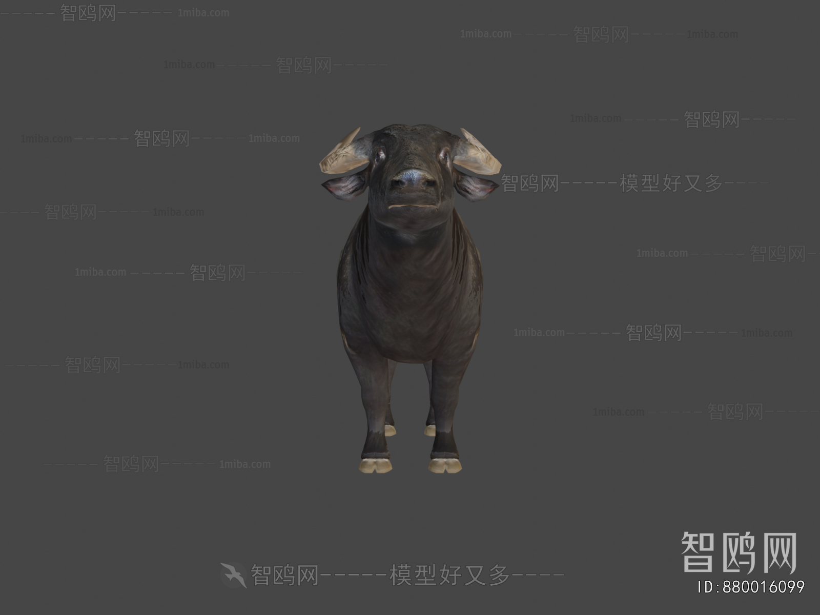 Modern Mammal