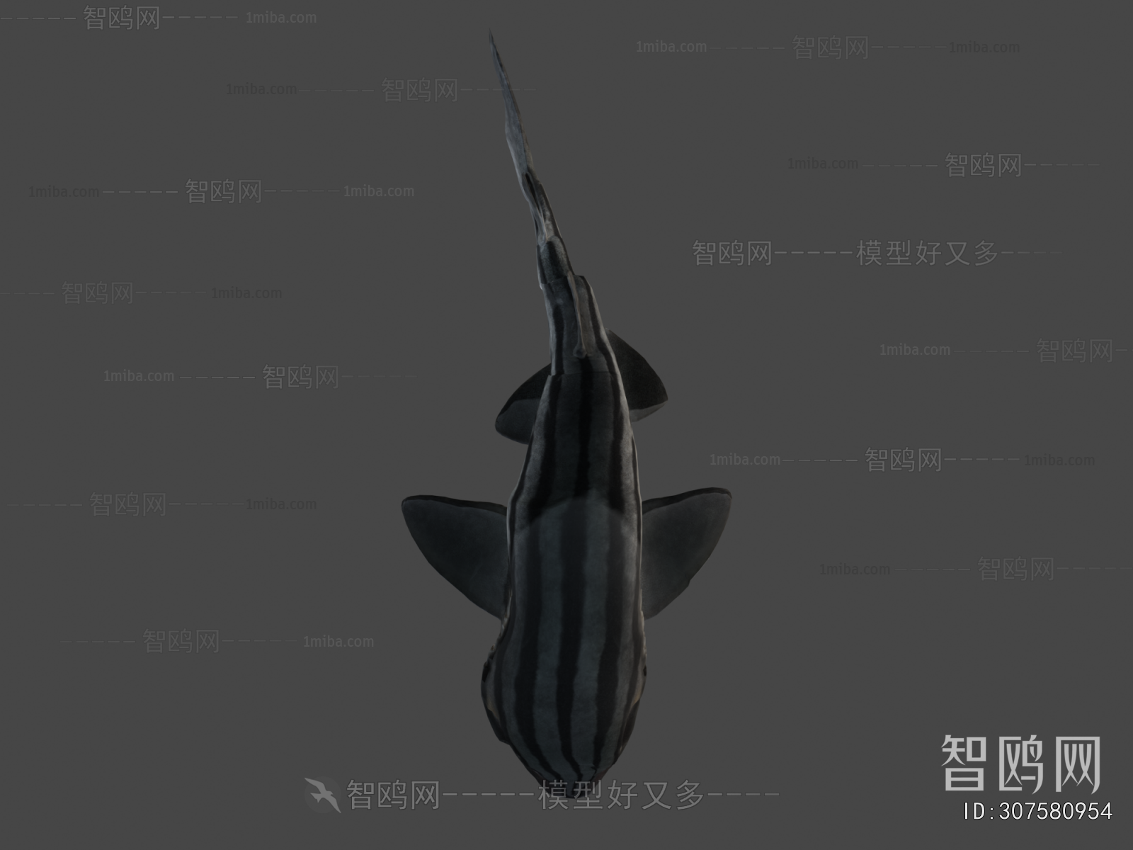 Modern Aquatic Animals