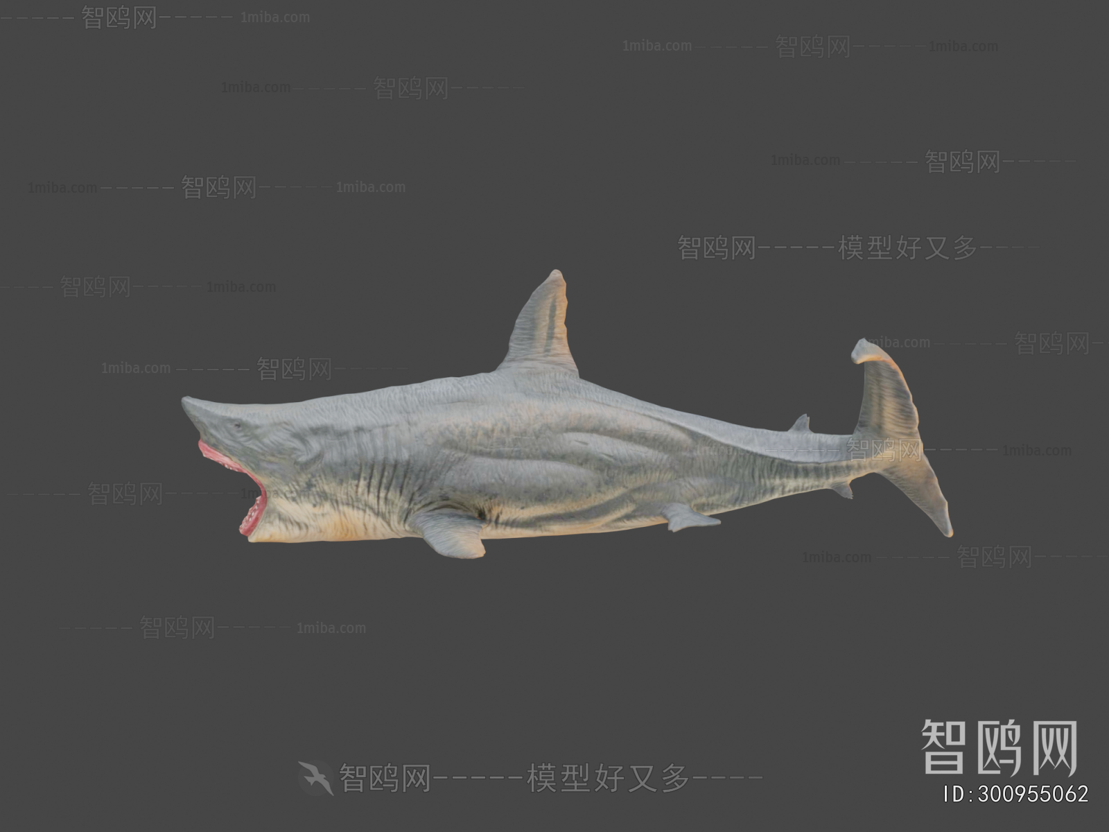 Modern Aquatic Animals