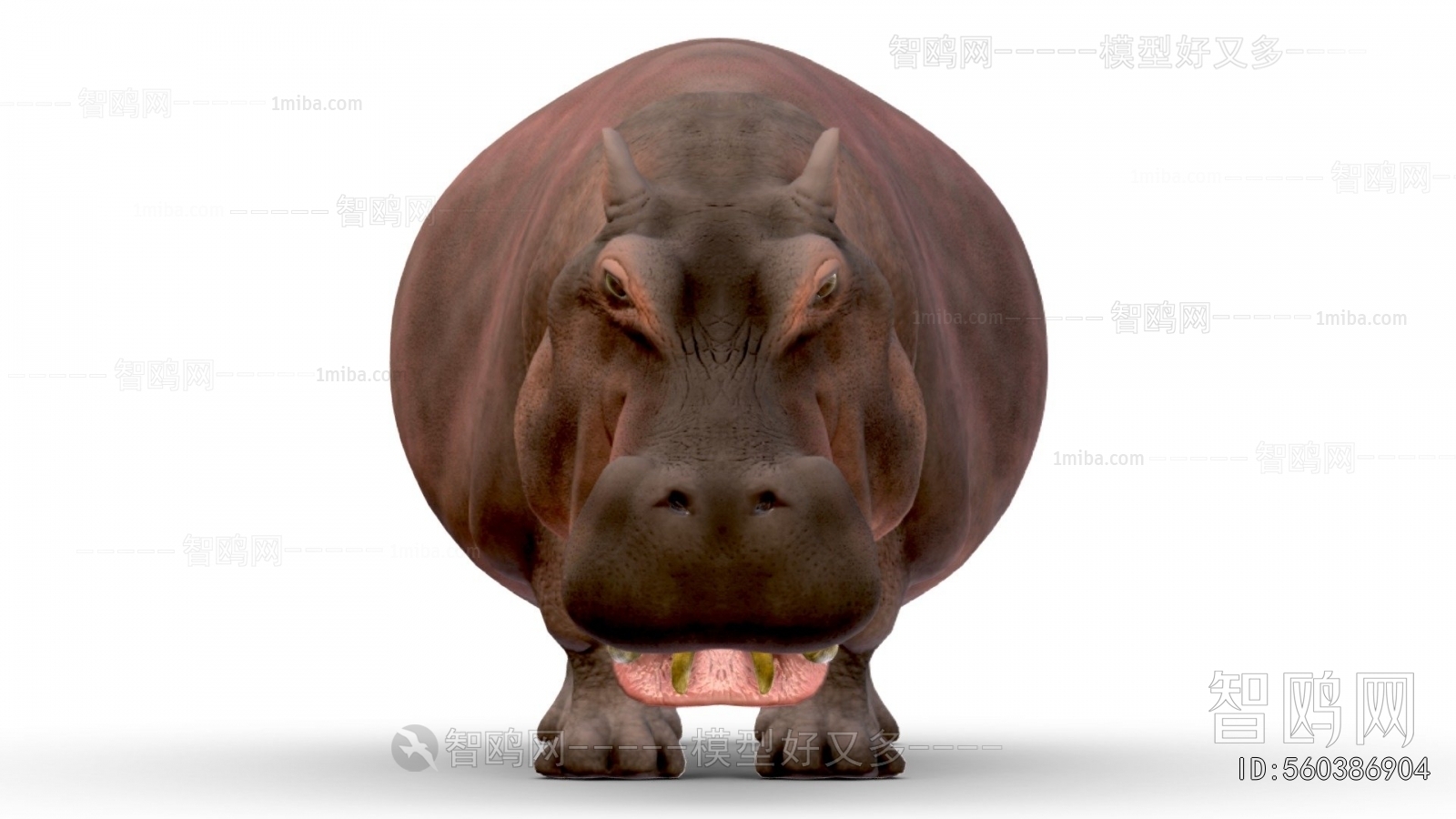 Modern Animal