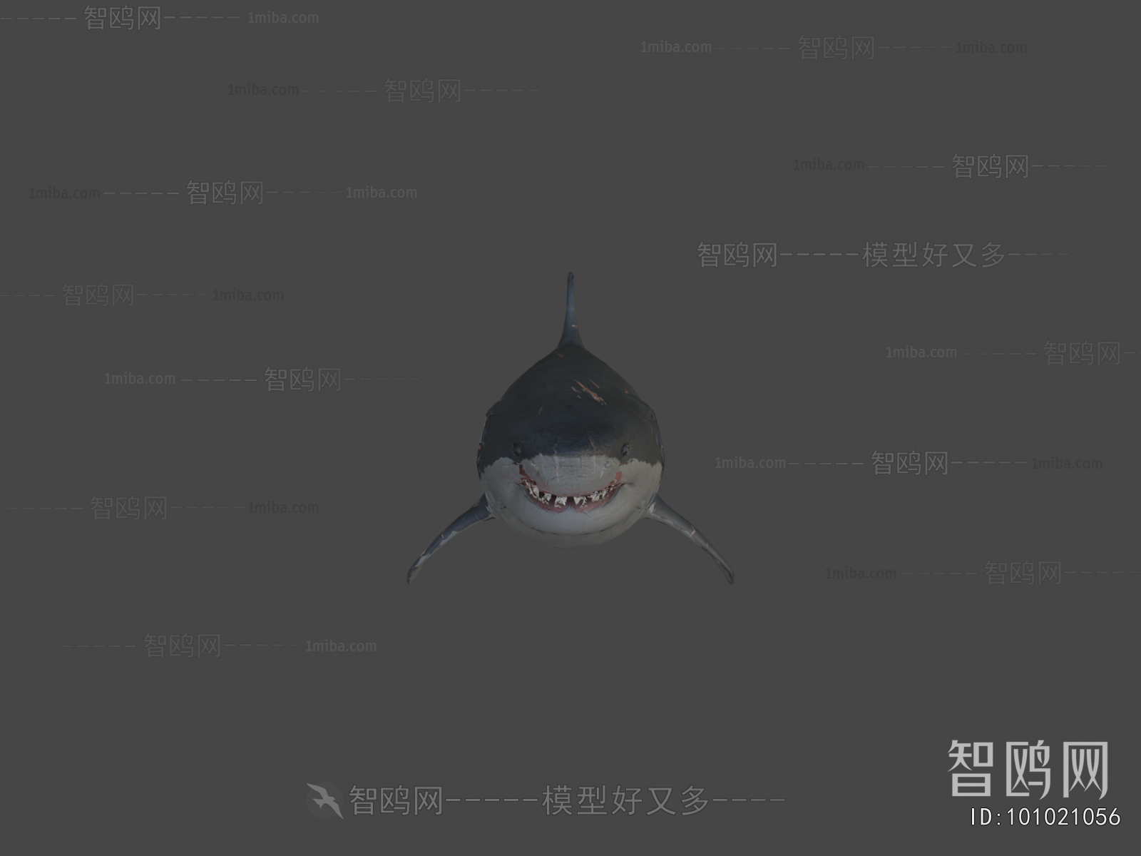 Modern Aquatic Animals