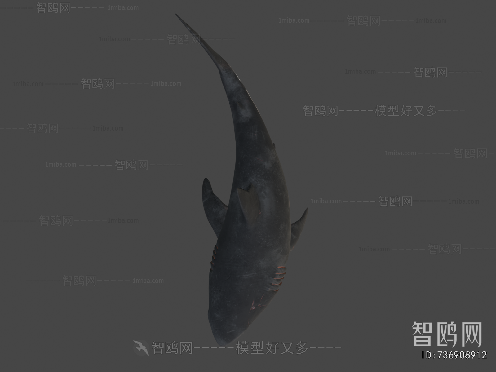 Modern Aquatic Animals