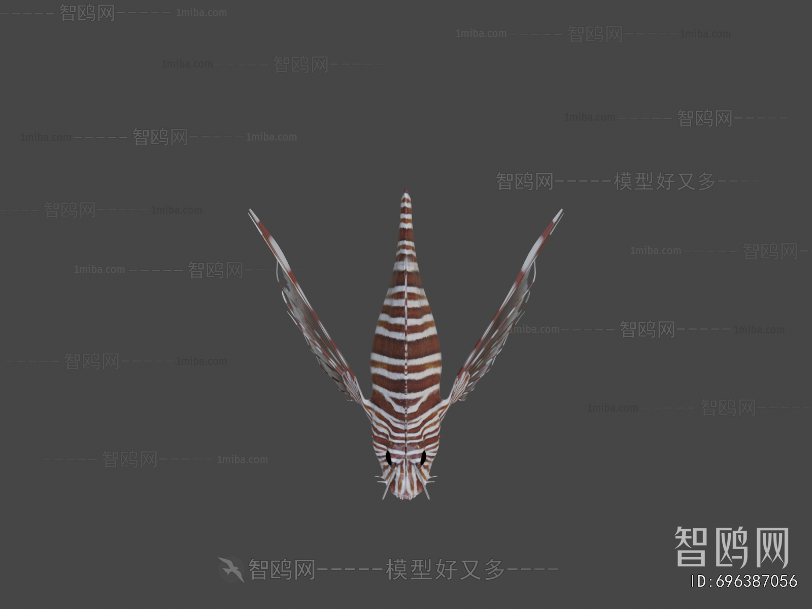 Modern Animal