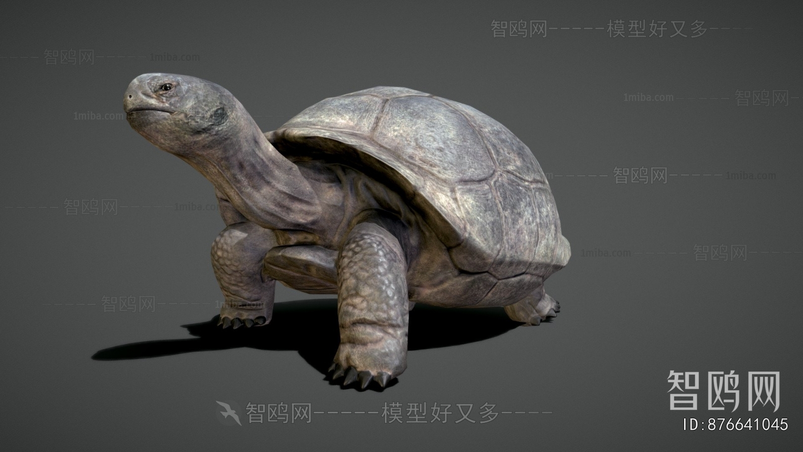 Modern Reptile