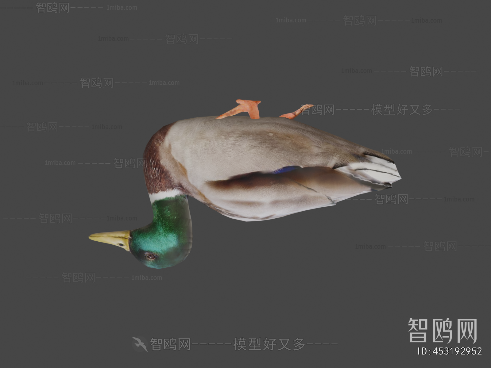 Modern Poultry Animal