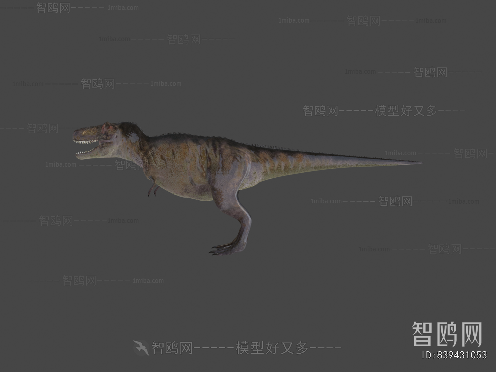 Modern Animal