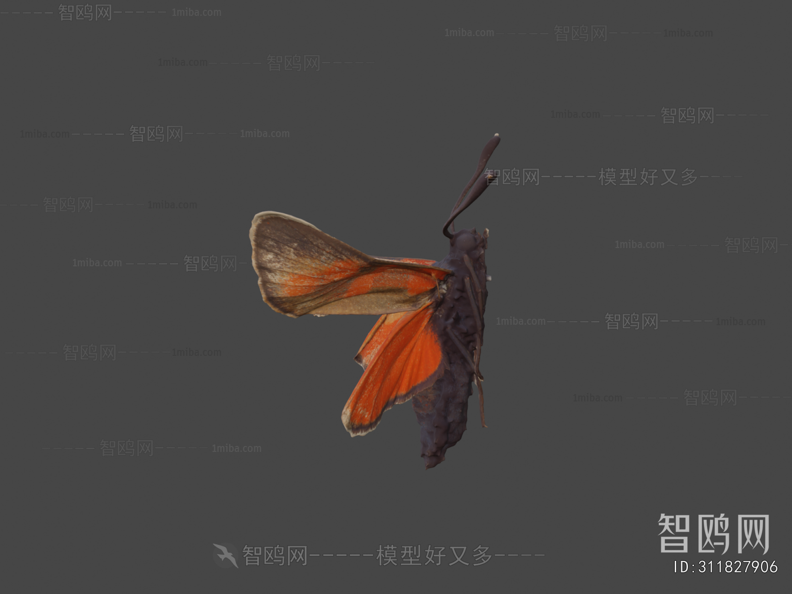 Modern Animal