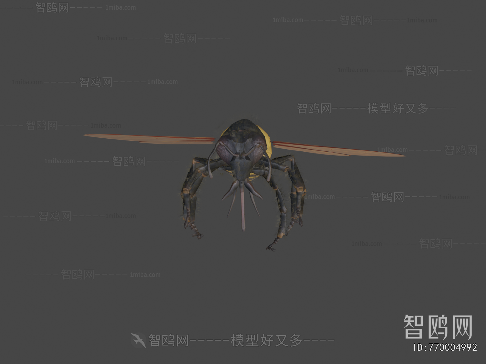 Modern Flying Animals