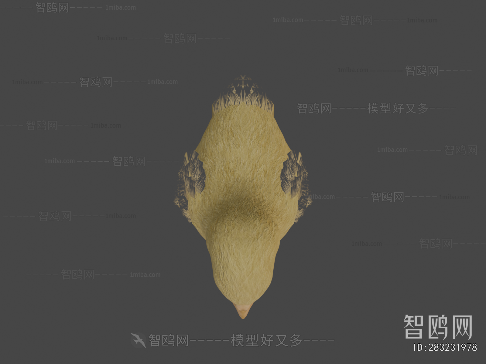 Modern Poultry Animal