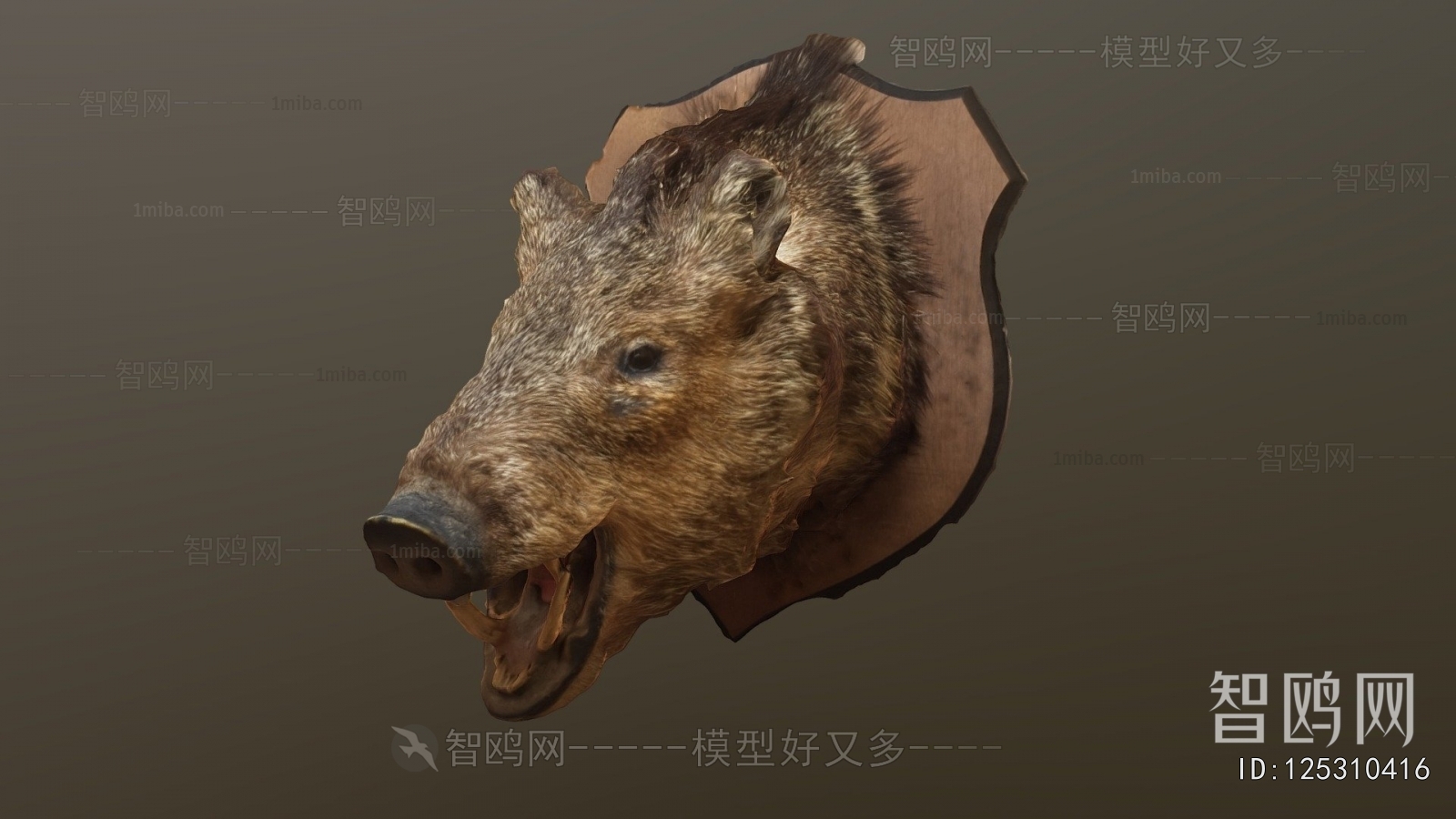 Modern Mammal
