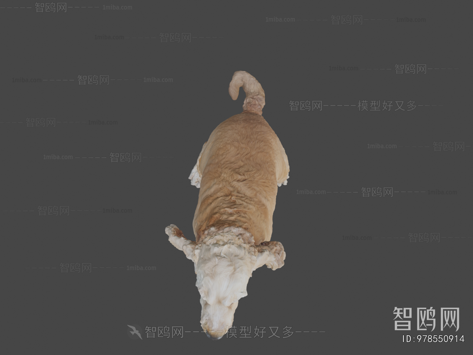 Modern Animal