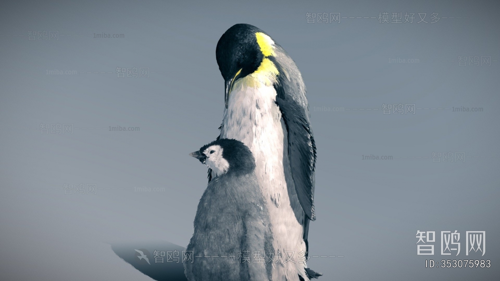Modern Animal