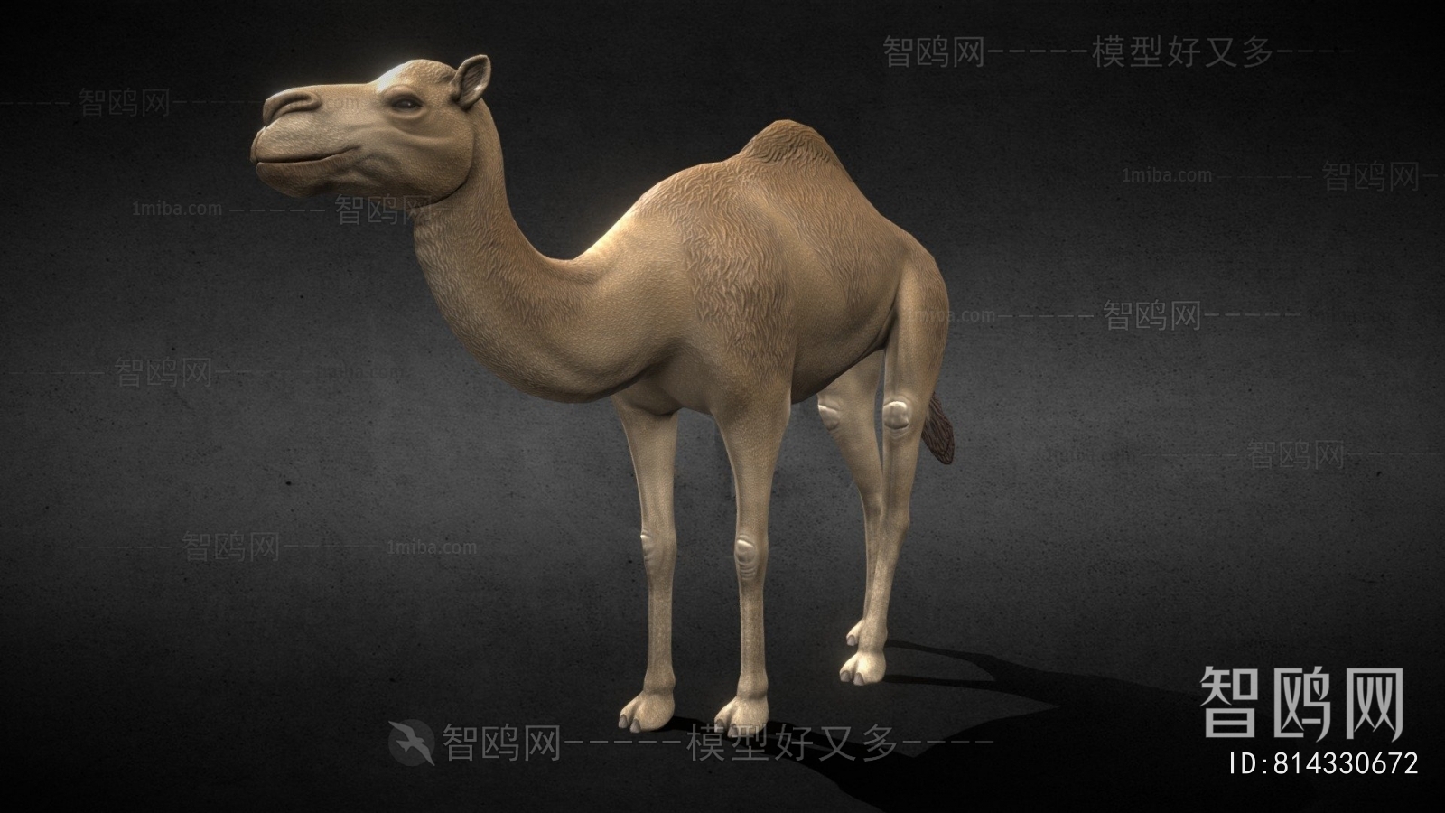 Modern Mammal