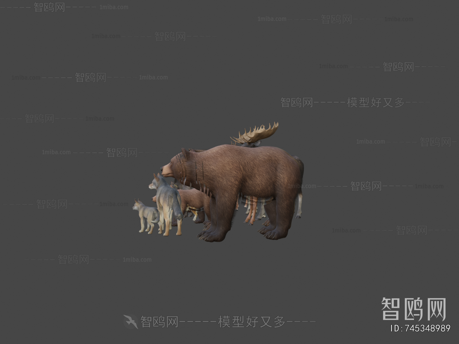 Modern Animal