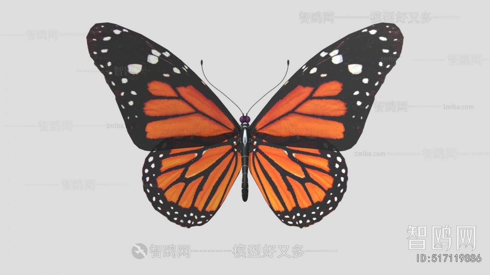 Modern Animal