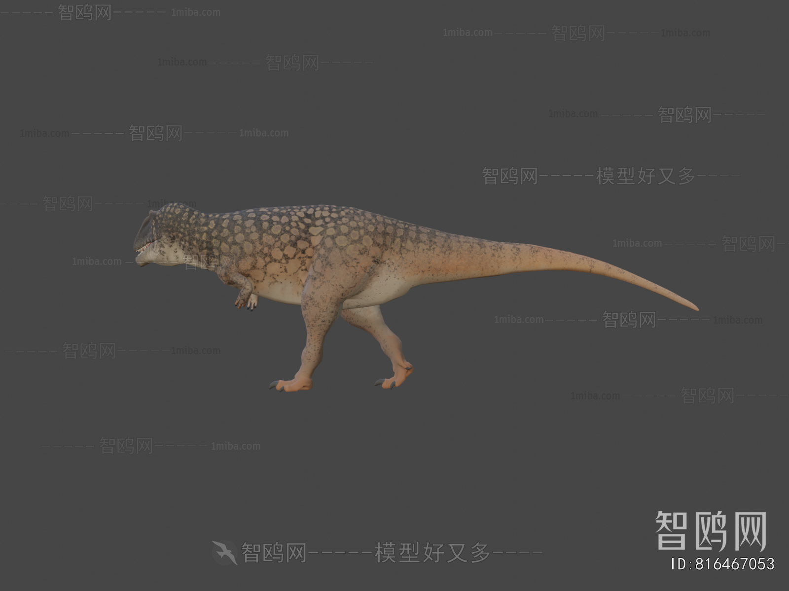 Modern Animal