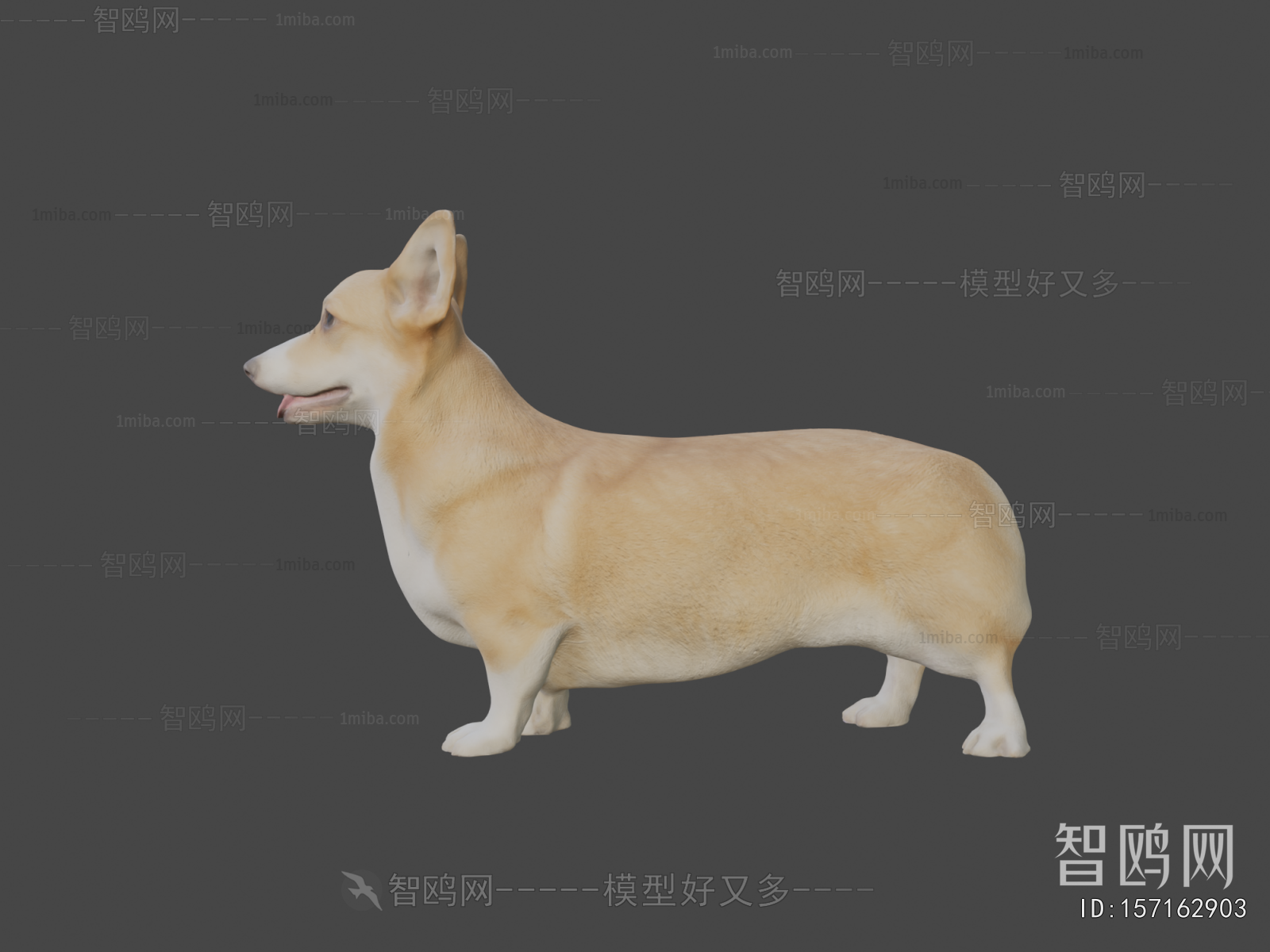 Modern Mammal