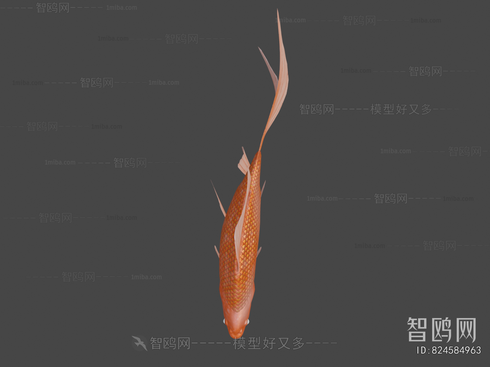 Modern Aquatic Animals