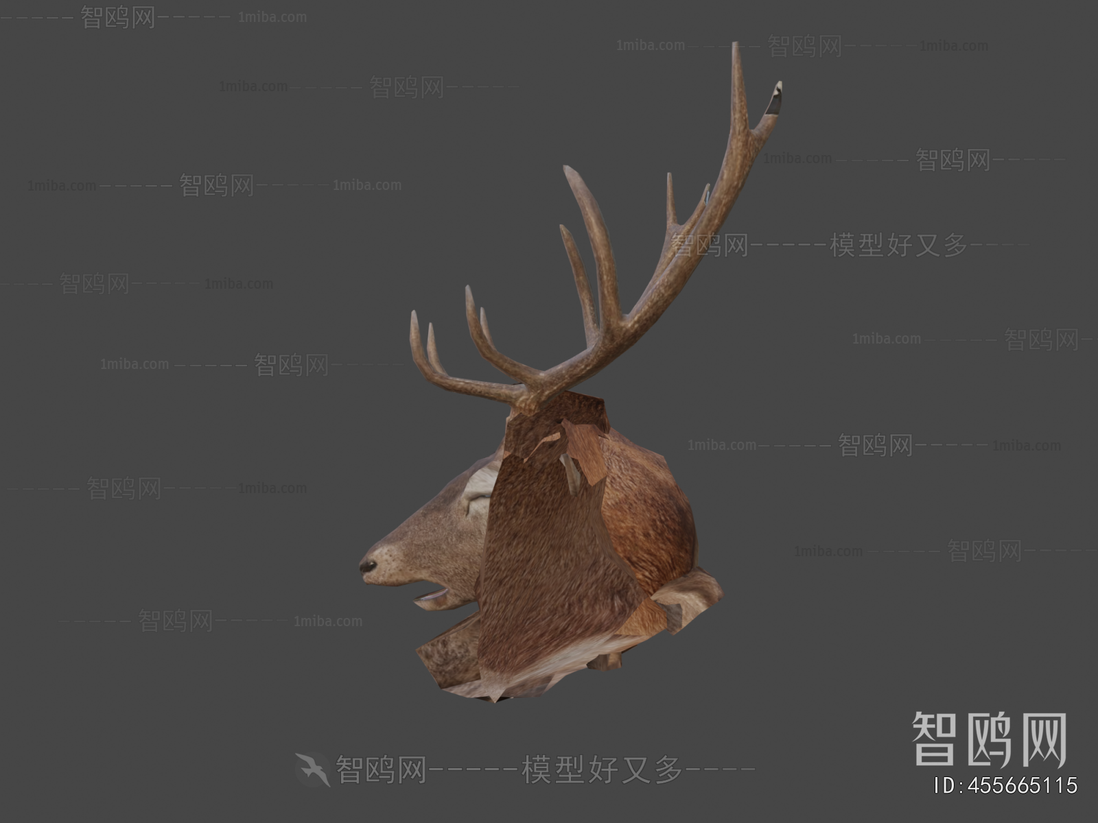 Modern Mammal