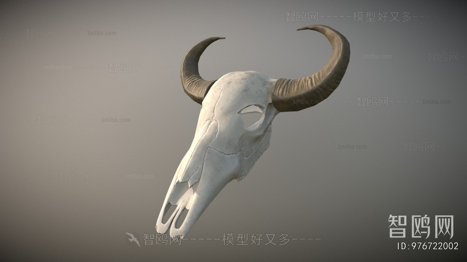 Modern Animal