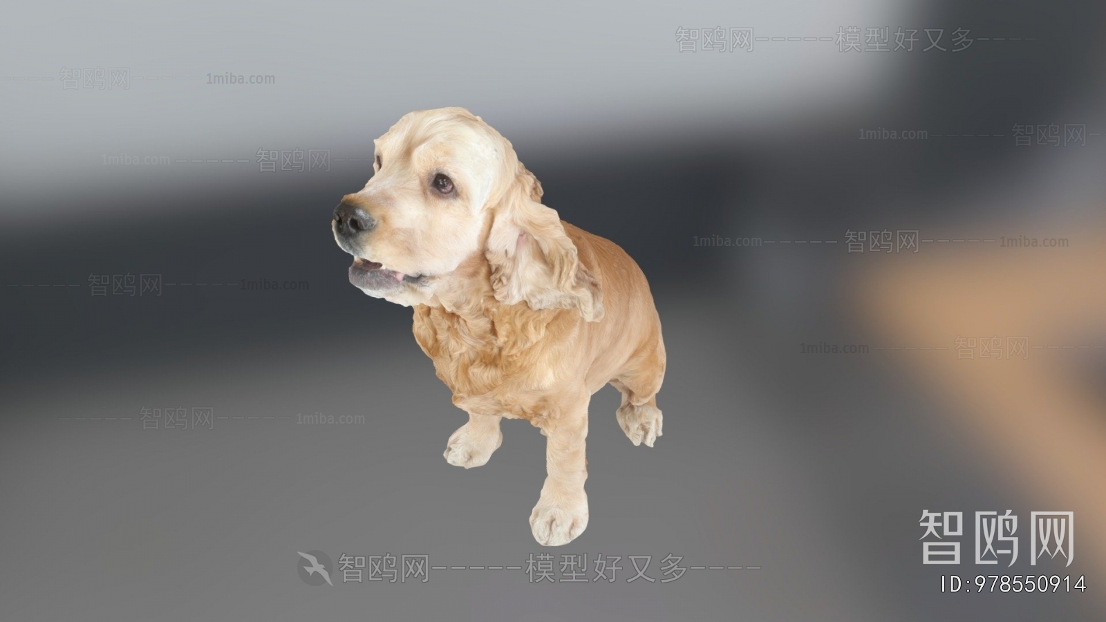 Modern Animal