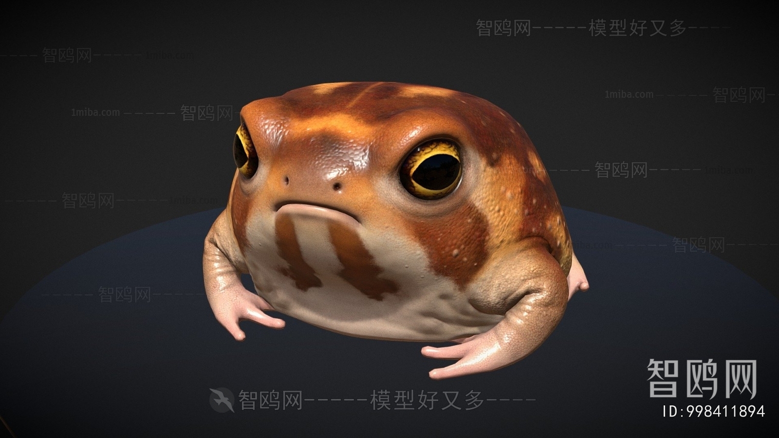 Modern Aquatic Animals
