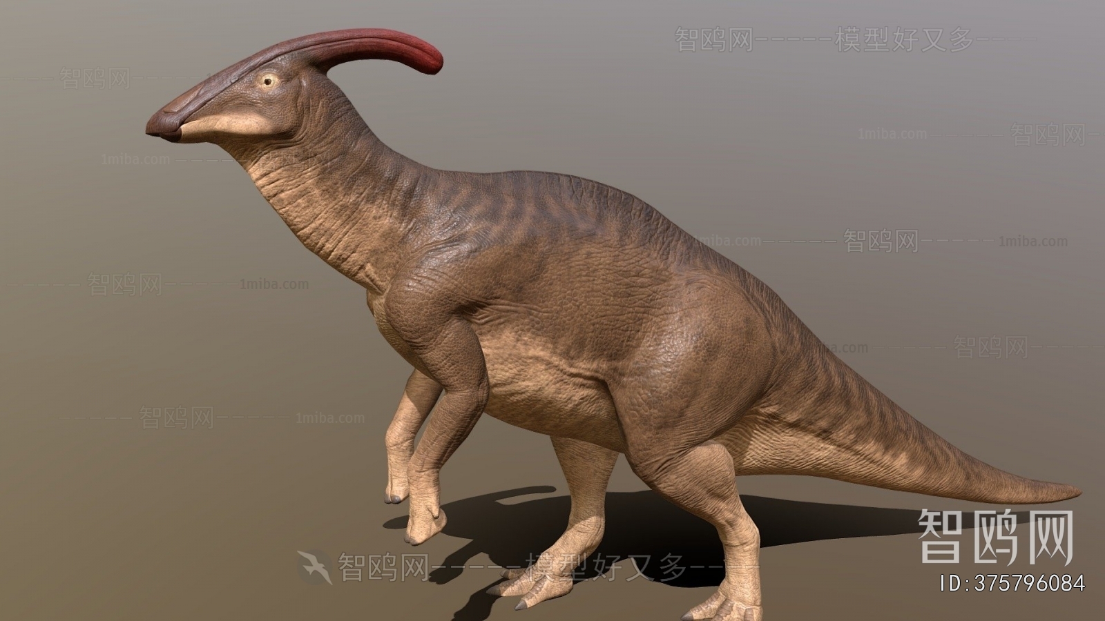 Modern Other Animals