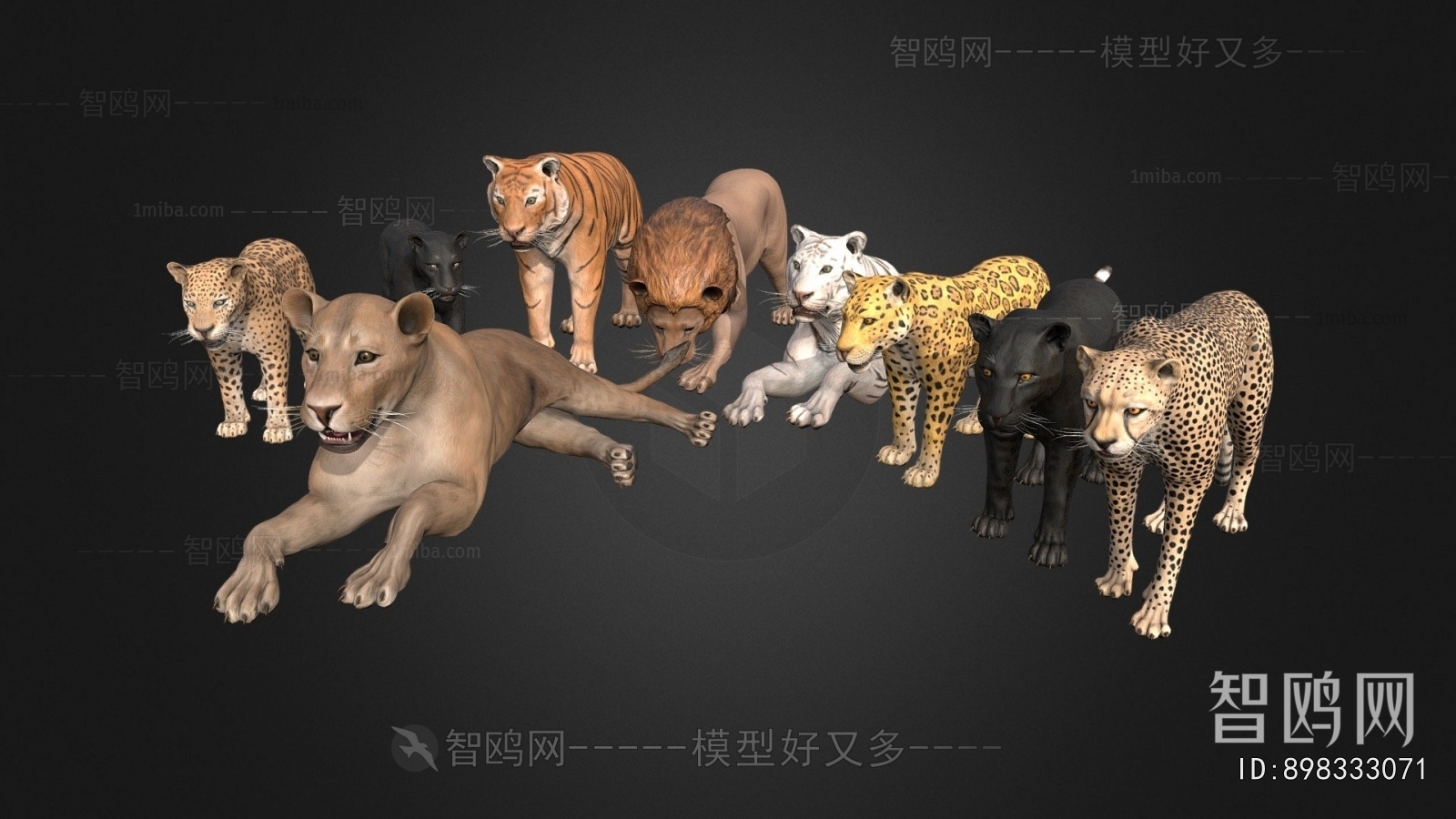 Modern Animal