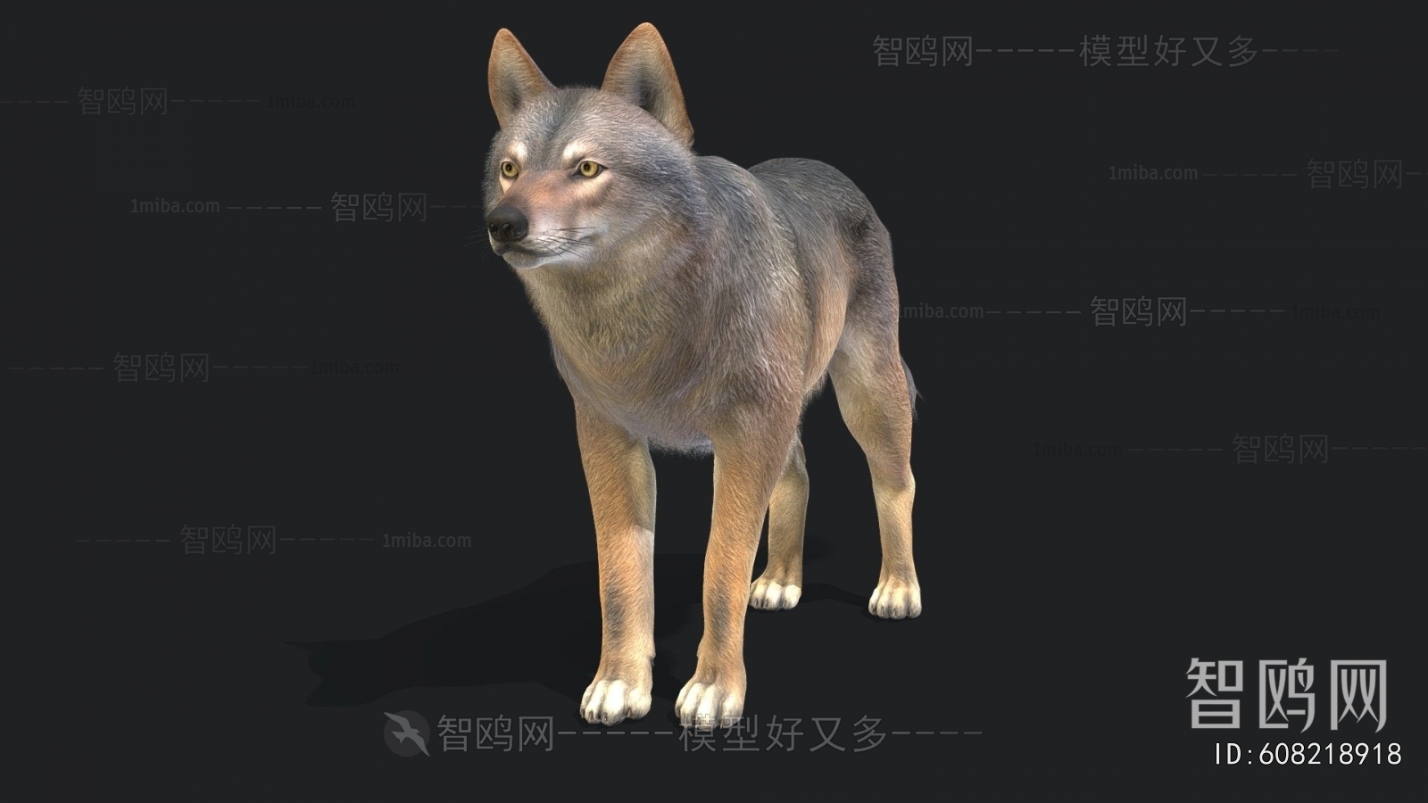 Modern Mammal