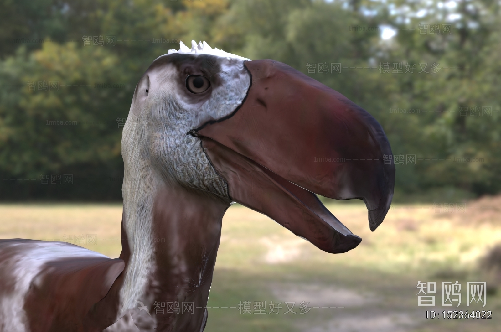 Modern Flying Animals