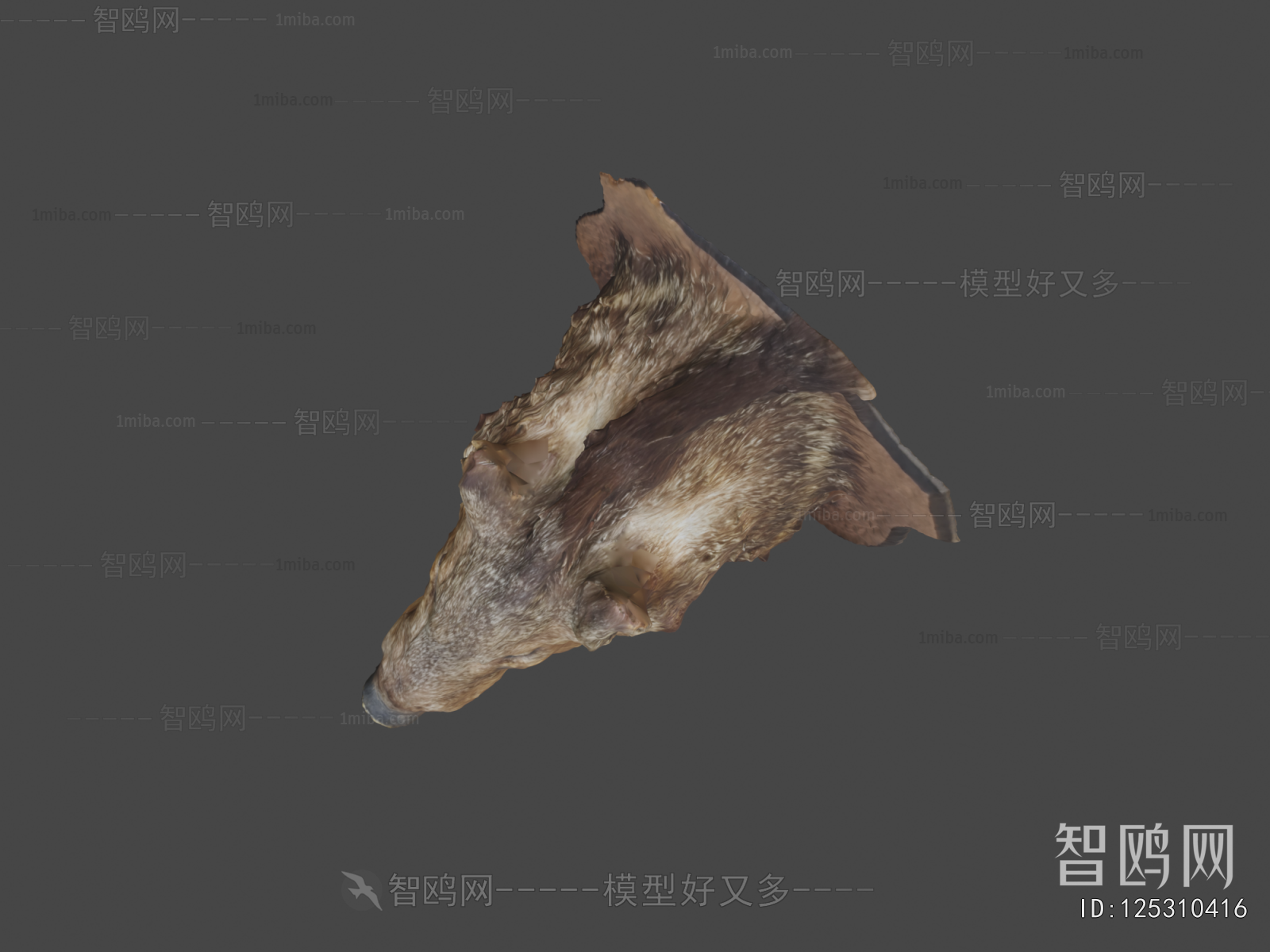 Modern Mammal